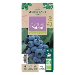 Myrtillier 'Patriot' Bio : Pot De 1,5 Litres -Einhell Boutique 791605 005