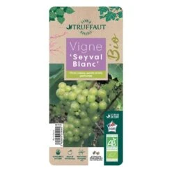 Vigne 'Seyval Blanc' AB - Pot 1,5 L -Einhell Boutique 827056 002