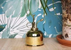 Vaporisateur En Laiton Doré Pour Plantes D'intérieur -Einhell Boutique 829216 001