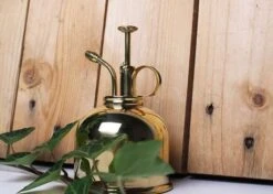 Vaporisateur En Laiton Doré Pour Plantes D'intérieur -Einhell Boutique 829216 002
