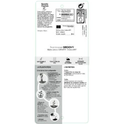 Framboisier Groovy®'Jdeboer005':pot 5L 11 Framboisier Groovy®'Jdeboer005':pot 5L -Einhell Boutique 831270 1432924