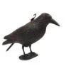 Corbeau Effaroucheur Oiseaux 2 Corbeau Effaroucheur Oiseaux -Einhell Boutique 832659 002