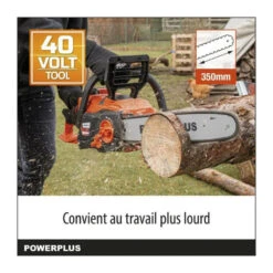 Tronçonneuse A Batterie 40v Dual Power Powdpg7576 - Guide De 350 Mm, Moteur Brusless - Livrée Sans Batterie Ni Chargeur -Einhell Boutique 8498eef1c6e88992
