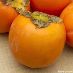 Kaki 'Rouge Brillant 1/2T Pot 15L -Einhell Boutique 952752 001