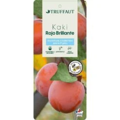 Kaki 'Rouge Brillant 1/2T Pot 15L -Einhell Boutique 952752 002