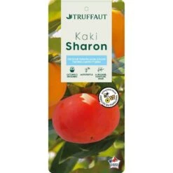 Kaki "Sharon" 1/2T Pot 15L -Einhell Boutique 952753 003