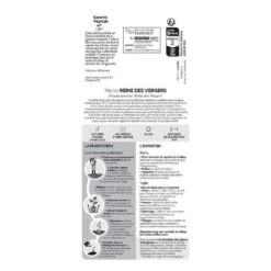 Pêcher Reine Des Vergers Bio, Gobelet 2 Ans 8 Pêcher Reine Des Vergers Bio, Gobelet 2 Ans -Einhell Boutique 952756 007