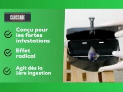 Carpt720 Lot De 4 Boîtes Raticide Canadien Pat'appât Fortes Infestatio -Einhell Boutique b9825ca4bf47ed21