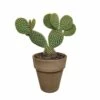 Opuntia Microdasys Et Son Cache-pot Marron - H40cm, ø17cm - Plante D'intérieur -Einhell Boutique d56a6bc0eec02fda