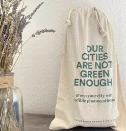 Kit Prêt à Planter - 3 Feuilles -Einhell Boutique ea572adcd263b51f