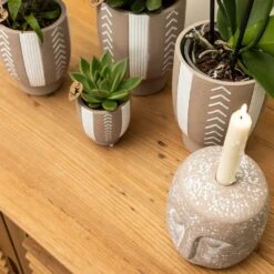 Echeveria Miranda - H13cm, ø9cm - Plante D'intérieur -Einhell Boutique f209523da1b249a5