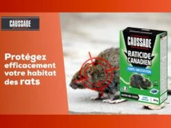 Carpt400 Raticide Canadien Forte Infestation Appât Prêt à L'emploi Nou -Einhell Boutique f33c99b93b405b3e